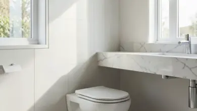Jak záchod ovlivnil hygienu a společnost - ilustrační foto