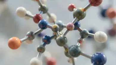 co je lipoprotein a a jeho význam - Co je lipoprotein a - ilustrační foto