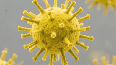 jak dlouho trvá norovirus a jeho příznaky - Jak dlouho trvá norovirus - ilustrační foto