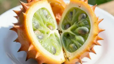 co je kiwano a jak ho pěstovat - Co je kiwano a - ilustrační foto