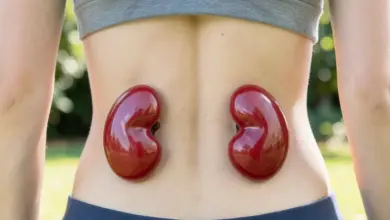 co je kreatinin a jak ovlivňuje zdraví - Co je kreatinin a - ilustrační foto