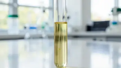 co je ureaplasma urealyticum a jak ji léčit - Co je ureaplasma urealyticum a - ilustrační foto