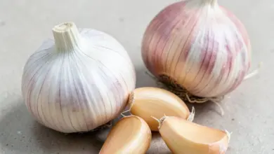 co jsou prebiotika a jak fungují - Co jsou prebiotika a - ilustrační foto