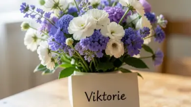 jaký je význam jména Victoria a jeho svátek - Jaký je význam jména victoria - ilustrační foto