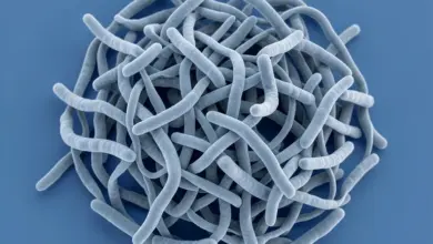co je meningitida příznaky a léčba - Co je meningitida - ilustrační foto