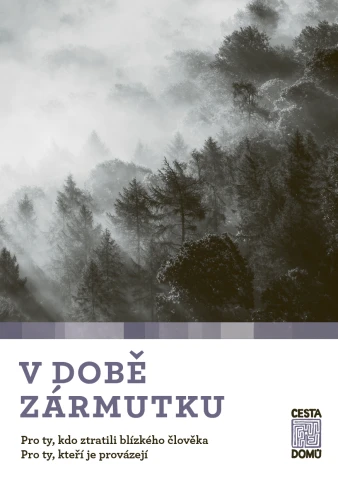 Misty forest landscape