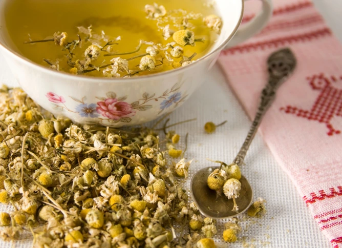 Chamomile tea and flowers