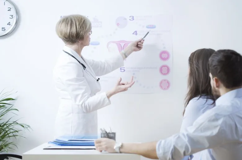 Doctor explaining ivf diagram