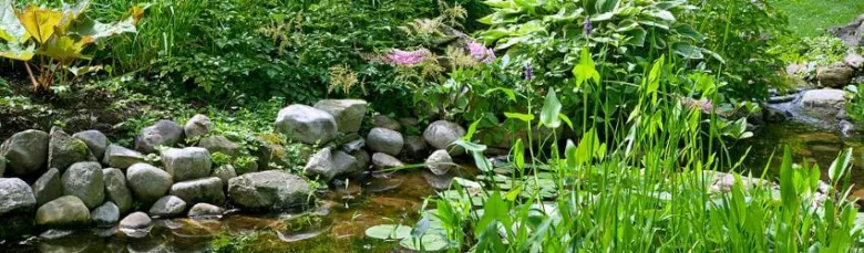 Perennial garden stream