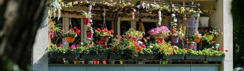 Balkon plný květin v nádobách na přímém slunci.