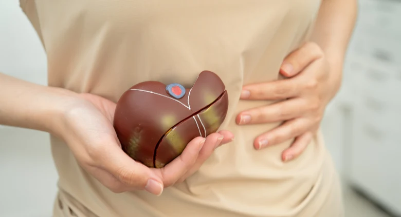 Model jater v rukou osoby ve zdravotnickém oblečení.