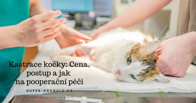 Veterinářka provádí kastraci kočky na operačním stole.