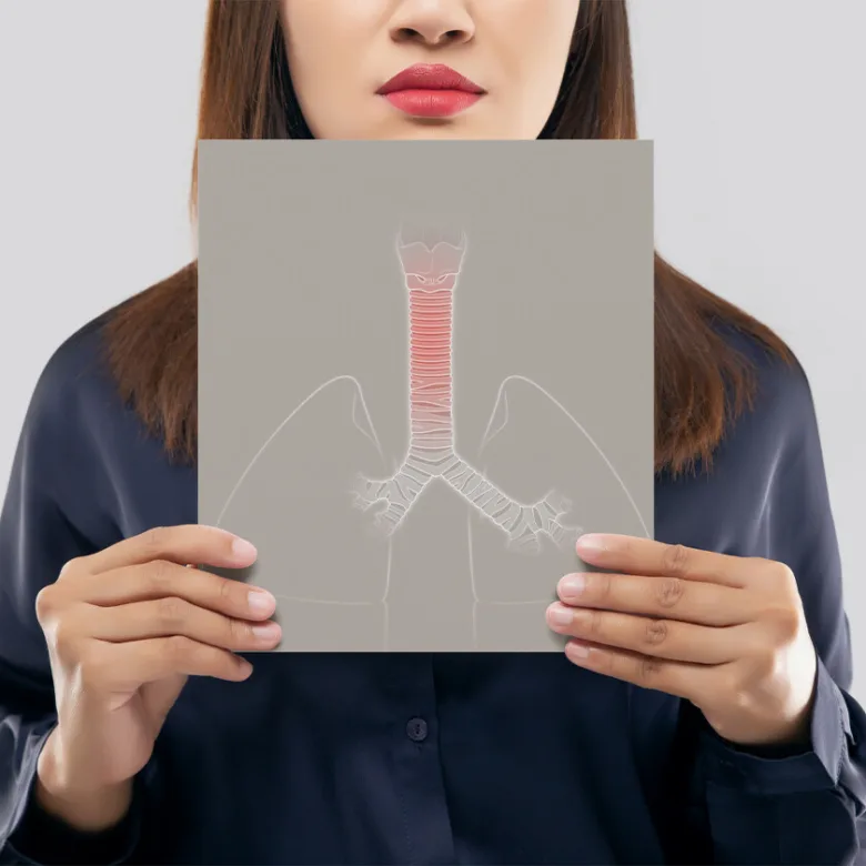 Human holding lung diagram