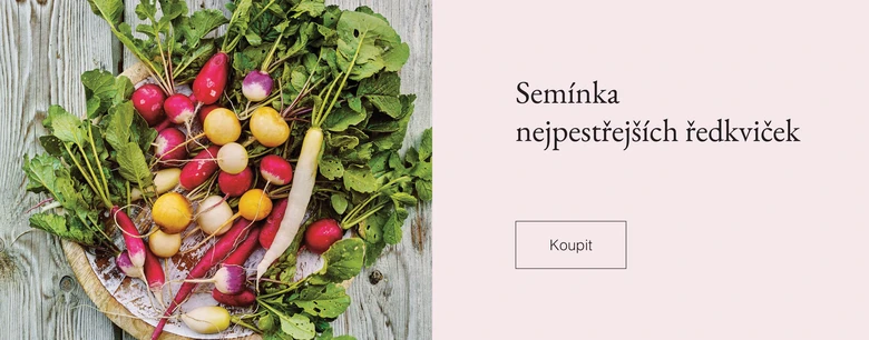 Čerstvé ředkvičky s listy v košíku na dřevěném povrchu.