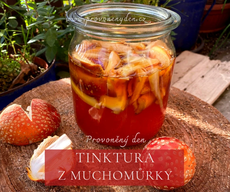 Sklenice s tinkturou z červených muchomůrek na dřevěném podkladu.