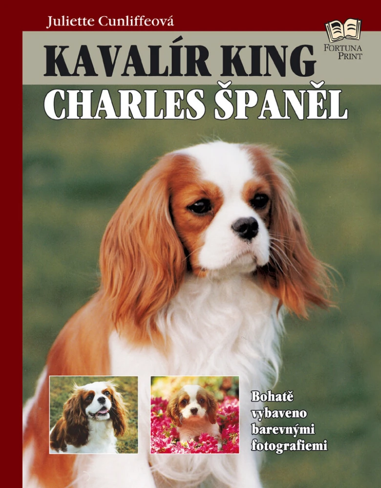 King Charles Španěl na obálce knihy o péči