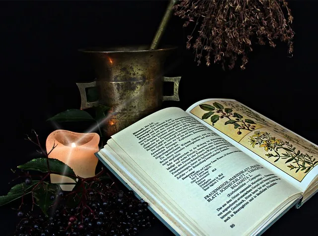 Otevřená kniha o bylinách s mrtvým hlemýždem a sušenými rostlinami.