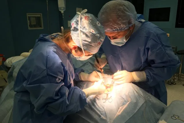 Dva chirurgové provádějí operaci v nemocničním sále.