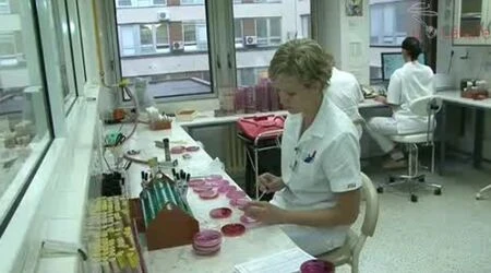 Zdravotní sestra pracuje v laboratoři s bakteriálními kultivami.