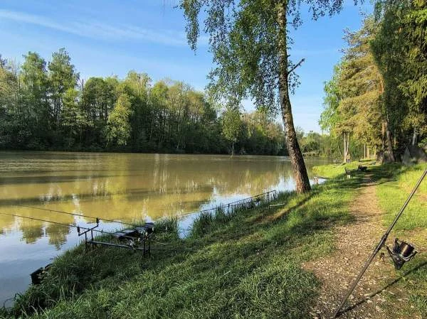 Rybářské tyče na břehu řeky s odrazem v klidné vodě.