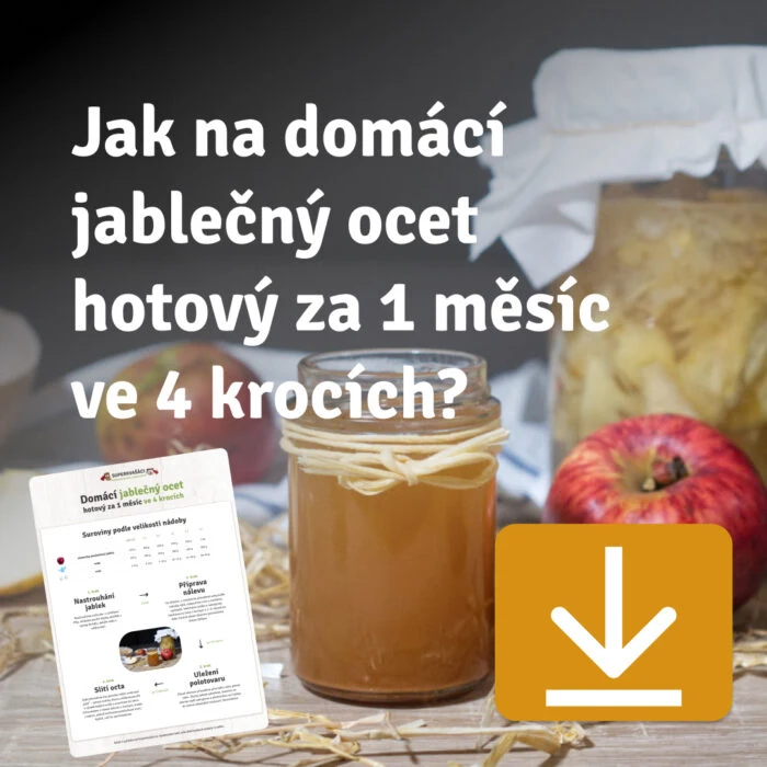 Sklenice s domácím jablčným octem, jablky a receptová karta na dřevěném povrchu.