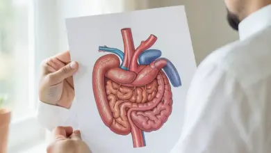 Jak rozpoznat příznaky podrážděné slinivky - ilustrační foto