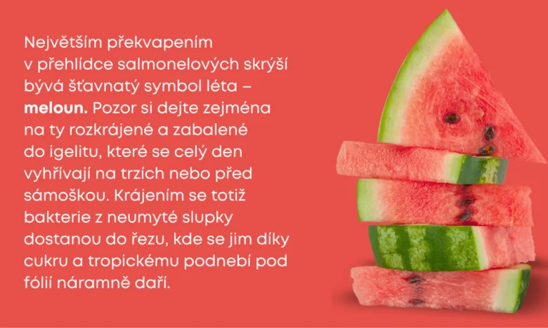 Melouny na trhu mohou být kontaminovány Salmonellou kvůli nehygienickému krájení.