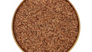Flax seeds in bowl