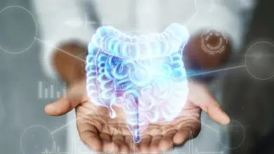 Lékař drží v rukou hologram lidského střeva.