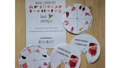 Česká hra s puzzle lidských orgánů pro vzdělávání.