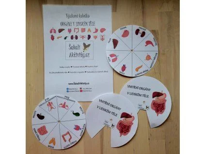 Česká hra s puzzle lidských orgánů pro vzdělávání.