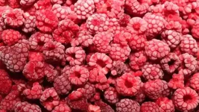 Raspberries close-up