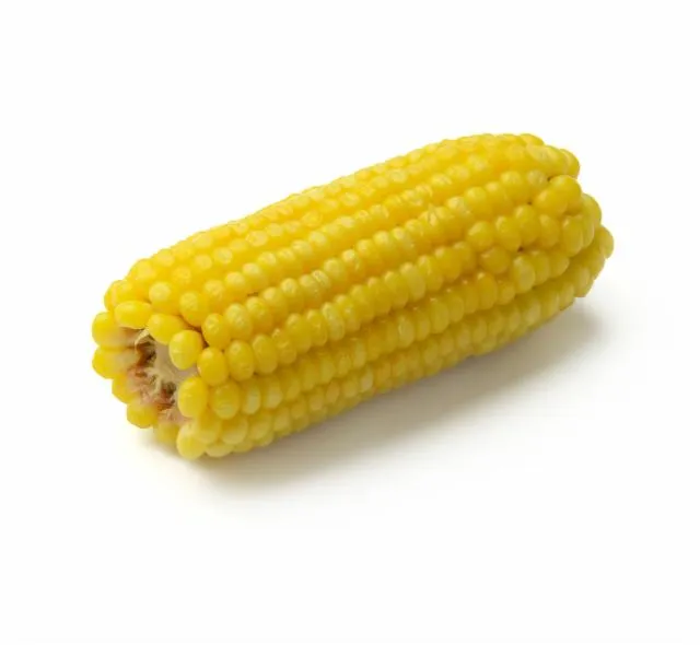 Žlutá kukuřice na bílém pozadí pro článek o nutričních hodnotách.