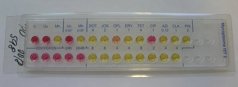 Testovací deska pro identifikaci bakterií ureaplazmy.