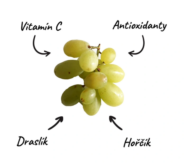 Světlé hrozny na bílém pozadí s českými nápisy o vitamínech.
