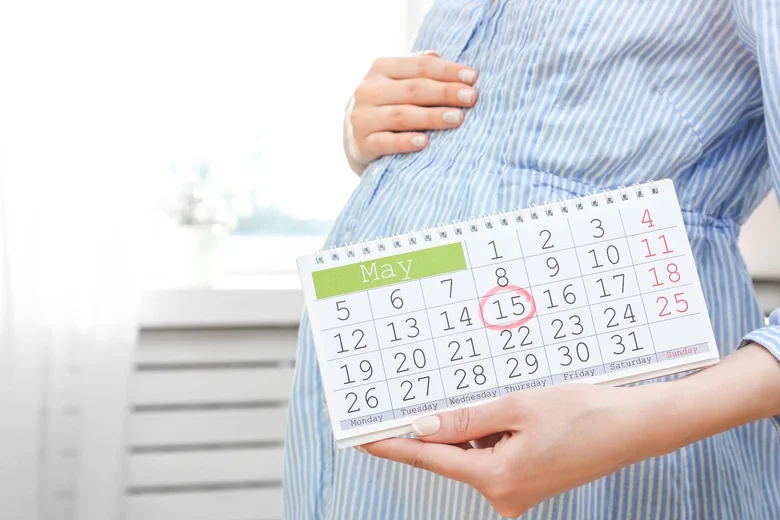 Těhotná žena drží kalendář s vyznačeným datem pro sledování těhotenství.
