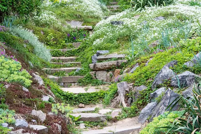 Stone steps on slope