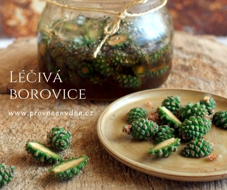 Sklenice s borovicemi na talíři pro zdraví